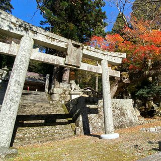 䖝井神社