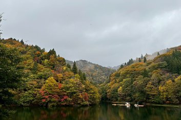 2026紅葉情報