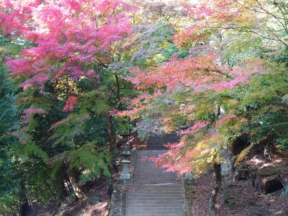 11-12諏訪神社.JPG