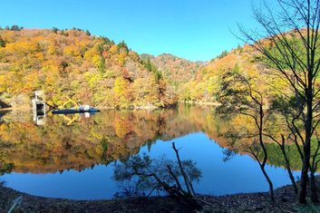 紅葉シーズンにおける芦津渓谷の通行について