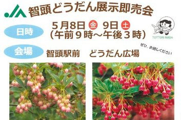 ５/８（金）・９（土）智頭どうだん展示即売会開催のお知らせ