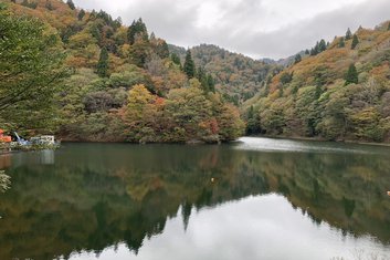 智頭町内紅葉情報