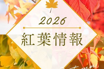 ２０２６智頭町紅葉情報