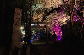諏訪神社　秋のライトアップのお知らせ