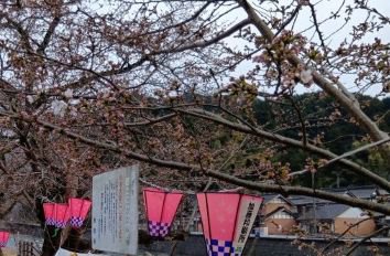 260330160018652 (1).JPG