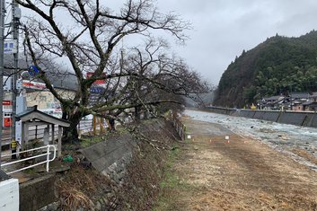 2025年　智頭町智頭河畔桜土手の開花情報